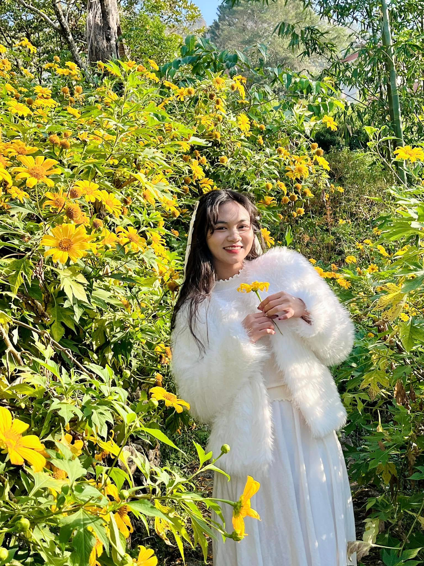 Ngoài ra, du khách còn có thể đến khu chụp ảnh Cầu Mây để có được những bức ảnh mãn nhãn với hoa dã quỳ trong mùa đông này. Giá vé vào cửa tại đây là 40.000 đồng/người.