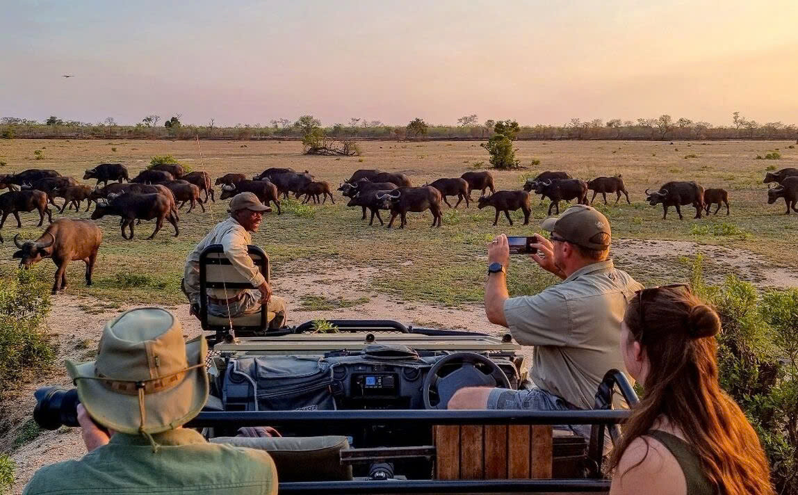 Ngành du lịch và lữ hành của châu Phi đang "bùng nổ" nhờ vào xu hướng chơi đùa với động vật hoang dã. Ảnh: Getty.