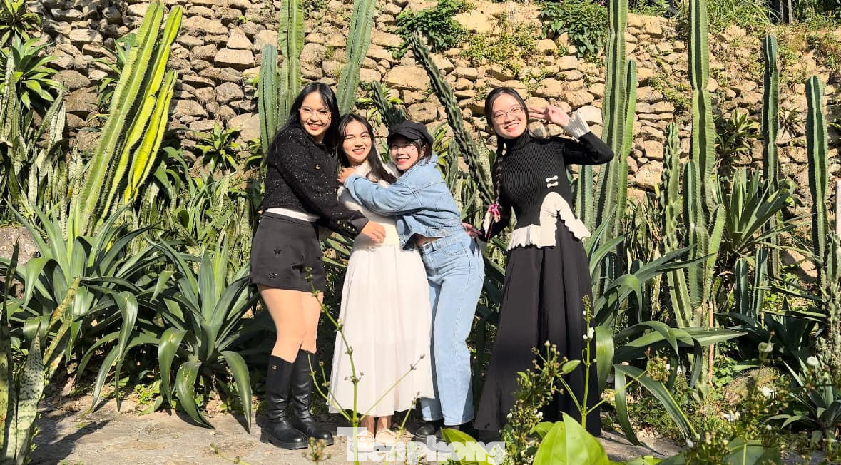 Ở Tam Đảo, du khách cũng có thể check – in tại quảng trường thị trấn với biểu tượng đài phun nước, lâu đài Tam Đảo, vườn xương rồng, Thác Bạc hay đền Bà Chúa Thượng Ngàn,…