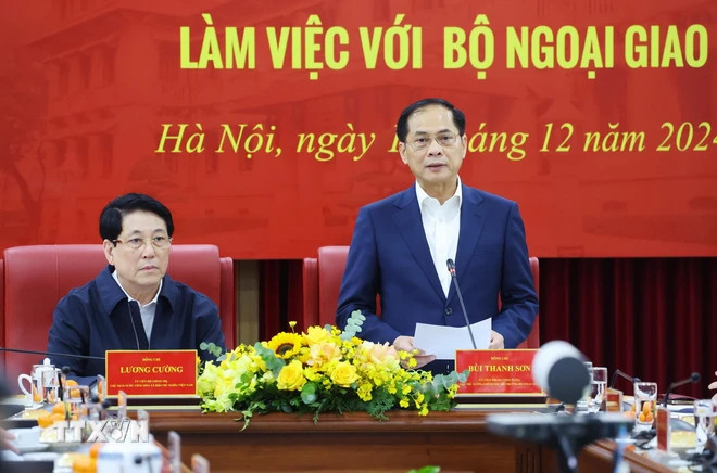 Phó Thủ tướng, Bộ trưởng Bộ Ngoại giao Bùi Thanh Sơn phát biểu. (Ảnh: Lâm Khánh/TTXVN)