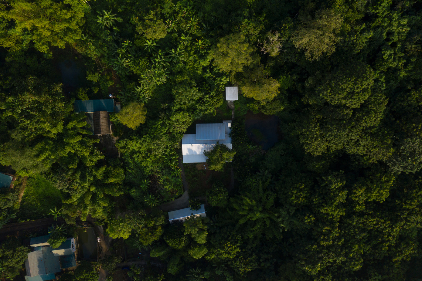 Ngôi nhà cấp 4 được thiết kế với mục đích tạo ra một không gian sống đơn giản, linh hoạt, hài hòa với thiên nhiên, phù hợp với lối sống gia đình và bảo tồn cảnh quan thiên nhiên. Ngôi nhà cấp 4 được thiết kế với mục đích tạo ra một không gian sống đơn giản, linh hoạt, hài hòa với thiên nhiên, phù hợp với lối sống gia đình và bảo tồn cảnh quan thiên nhiên.