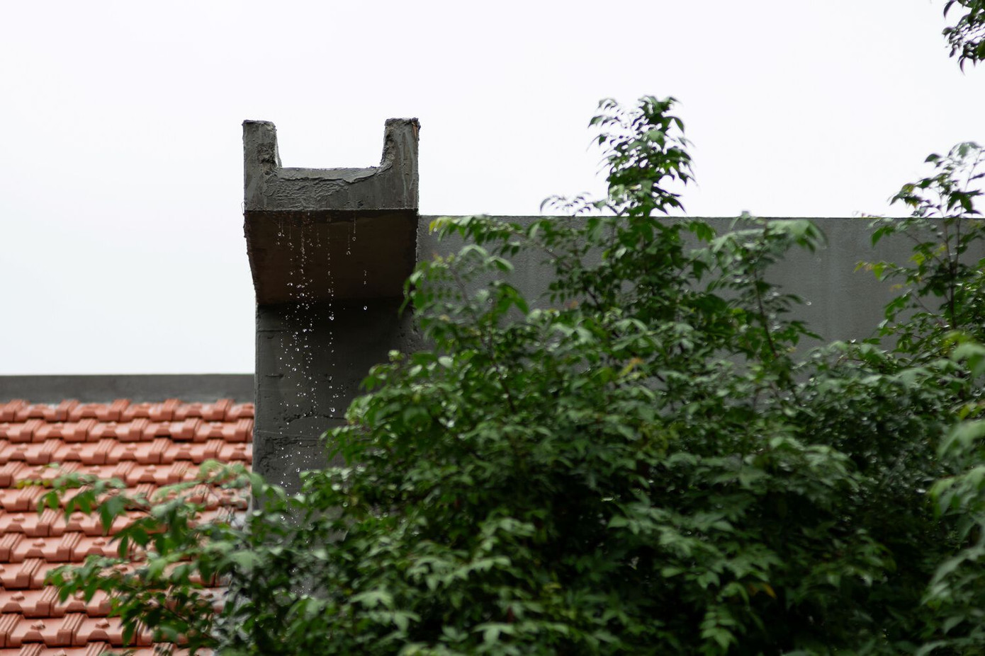 Ngôi nhà là một mô hình kiến trúc bền vững, chứng minh cách cân bằng chu đáo giữa thiên nhiên và thiết kế có thể tạo ra một không gian sống hài hòa và thanh bình.