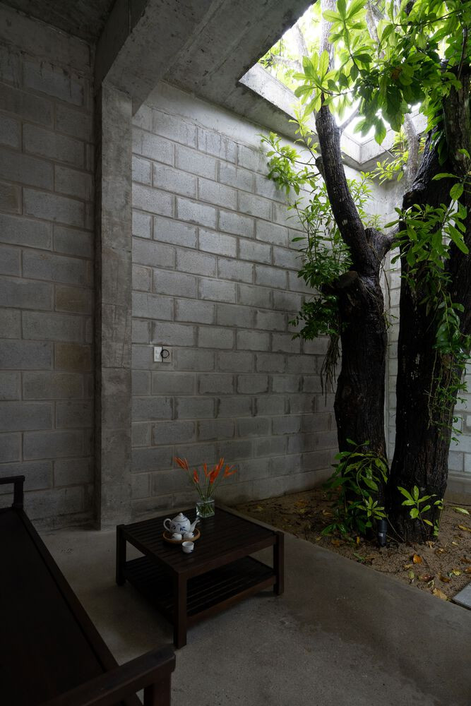 Các cành cây vươn ra qua một lỗ hình chữ nhật trên mái nhà, đưa không gian ngoài trời vào nhà, tăng cường cảm giác rộng mở, cho phép ánh sáng và không khí tự nhiên tràn vào các khu vực sinh hoạt.