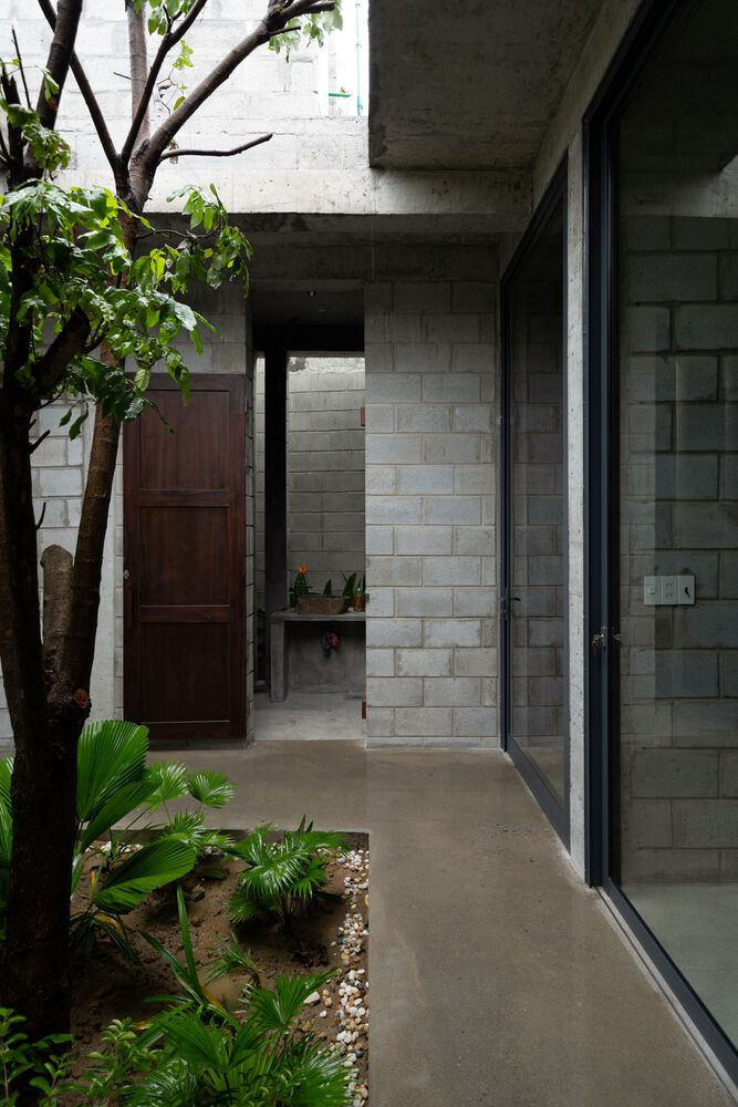 Các cành cây vươn ra qua một lỗ hình chữ nhật trên mái nhà, đưa không gian ngoài trời vào nhà, tăng cường cảm giác rộng mở, cho phép ánh sáng và không khí tự nhiên tràn vào các khu vực sinh hoạt.