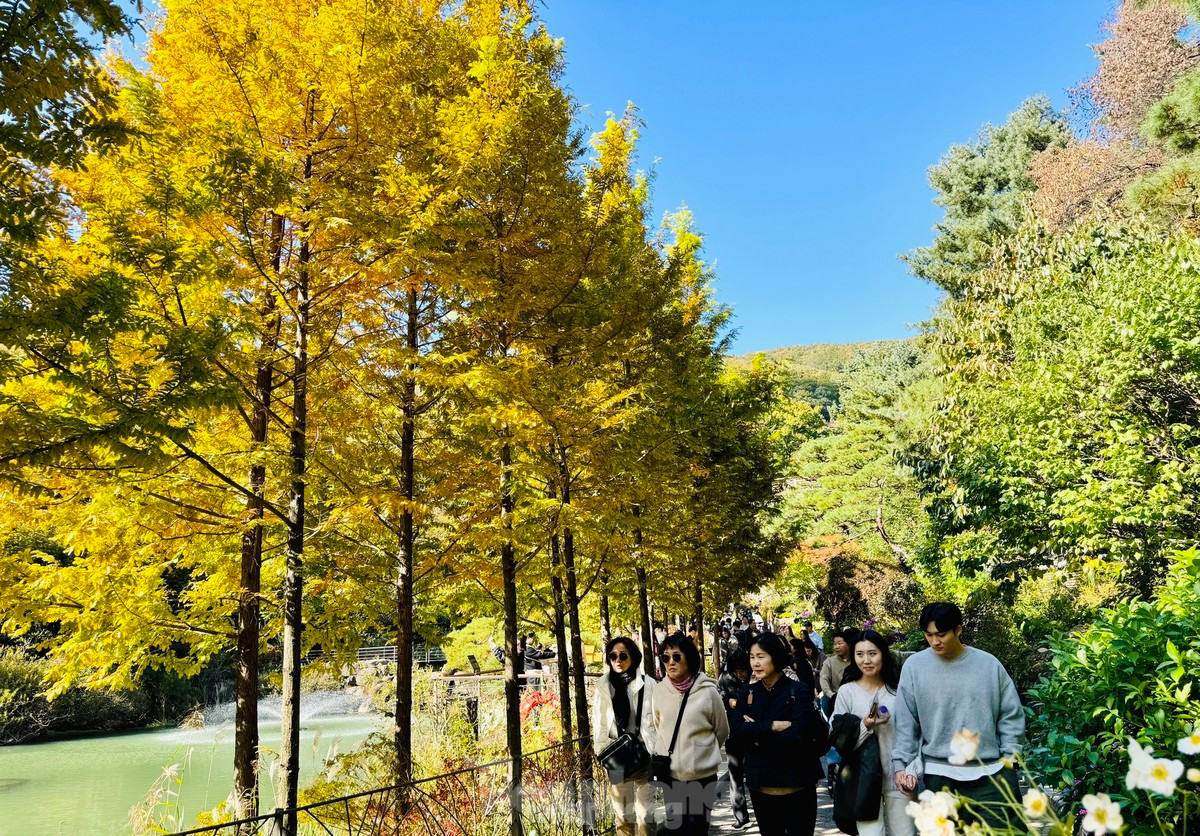 Người Việt đến Hàn Quốc nhiều nhất Đông Nam Á năm 2023. Ảnh: Trọng Tài.