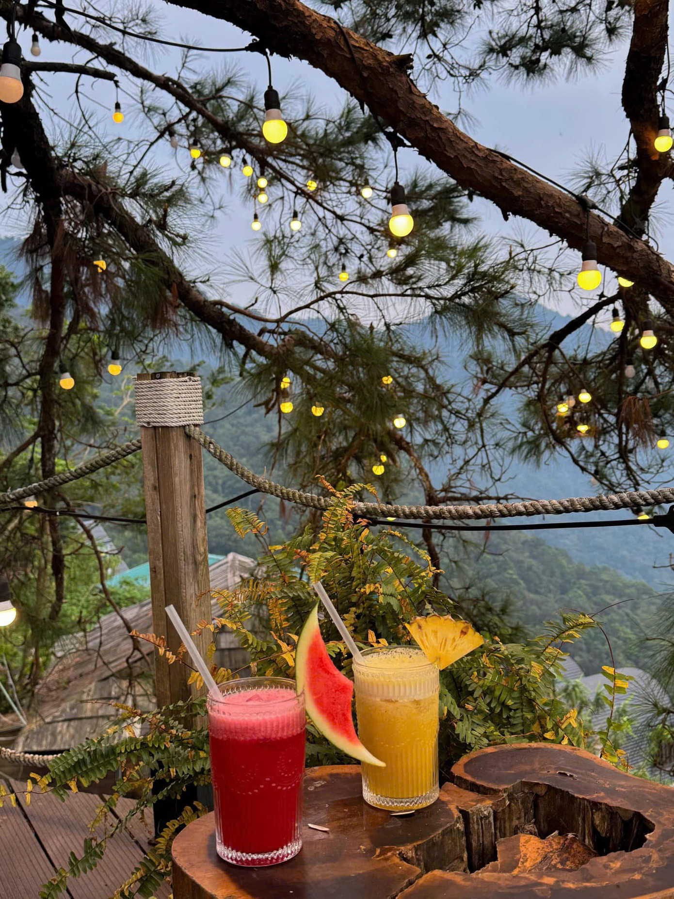 Ở Tam Đảo, du khách cũng có thể check – in tại quảng trường thị trấn với biểu tượng đài phun nước, lâu đài Tam Đảo, vườn xương rồng, Thác Bạc hay đền Bà Chúa Thượng Ngàn,…