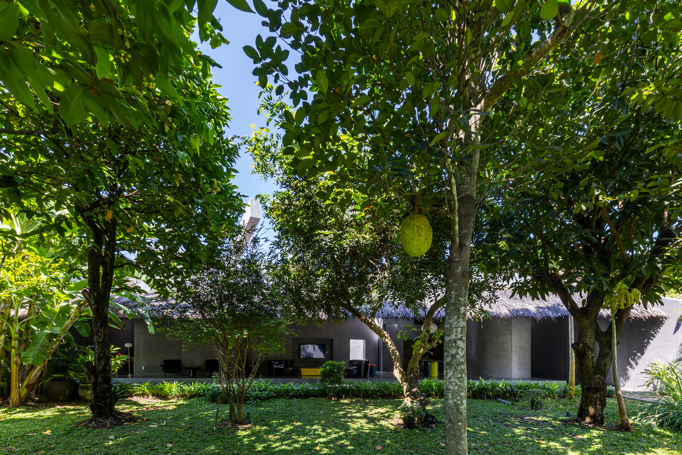 Bao quanh ngôi nhà là vườn cây ăn quả xanh mát và thoảng hương thơm mỗi khi có trái chín.