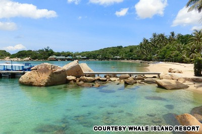 Khu nghỉ dưỡng Whale Island