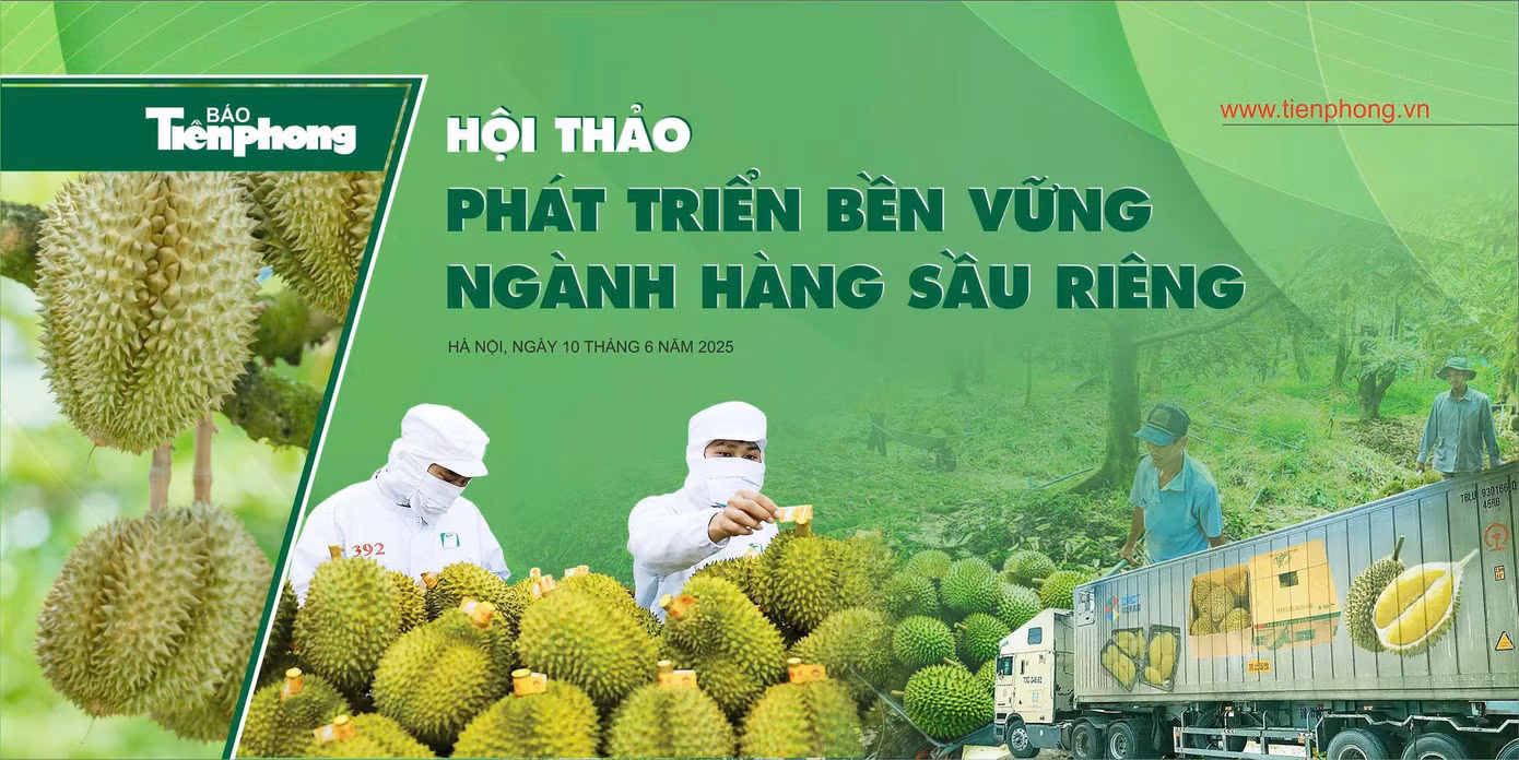 Khủng hoảng sầu riêng: 'Chúng ta đều có trách nhiệm' ảnh 2