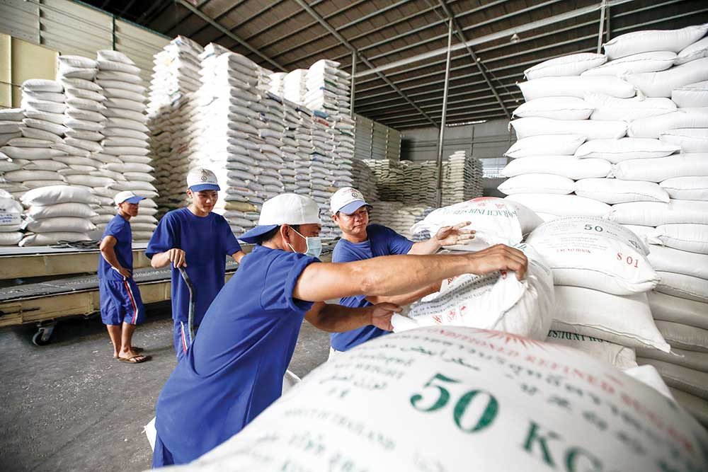 VCCI đề nghị bỏ quy định dự trữ tối thiểu 1.250 tấn gạo đối với thương nhân mới.