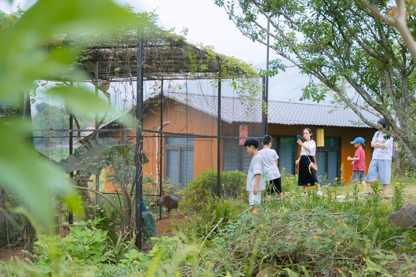 Các trẻ tự kỷ được tham gia khám phá thiên nhiên với môi trường trong lành, gần gũi.