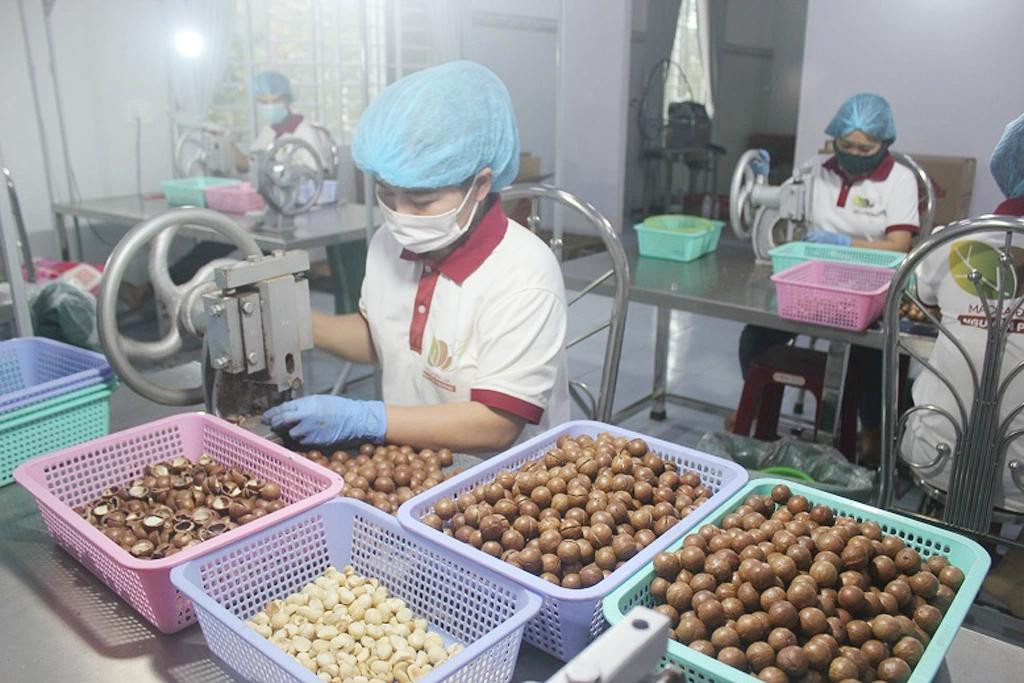 Thị trường Anh vừa thay đổi quy định về mức dư lượng thuốc bảo vệ thực vật đối trong nhiều mặt hàng nông sản. Ảnh minh họa. Thị trường Anh vừa thay đổi quy định về mức dư lượng thuốc bảo vệ thực vật đối trong nhiều mặt hàng nông sản. Ảnh minh họa.