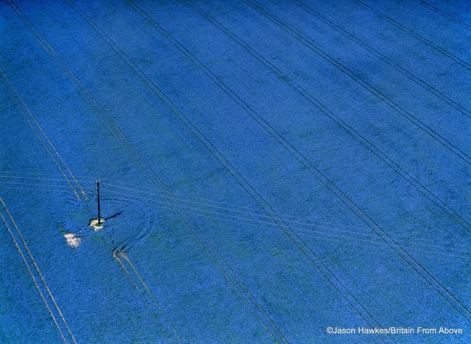 Cánh đồng cỏ xanh ở Buckinghamshire có tính chất “ma thuật”.