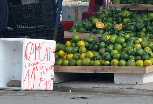 Một kg cam loại này được tầm 4 đến 5 quả, có nơi bán với giá chỉ 5.000 hoặc 7.000 đồng, tương đương 1.000 đồng mỗi qu