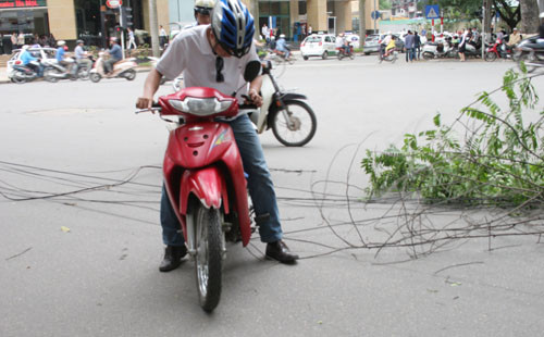 Cành cây gãy kéo theo nhiều đường dây điện xuống đất càng gây trở ngại cho người và phương tiện 