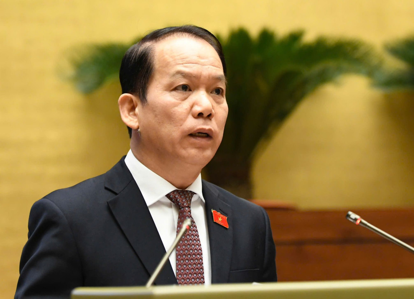 Chủ nhiệm Ủy ban Pháp luật Hoàng Thanh Tùng. Ảnh: Như Ý