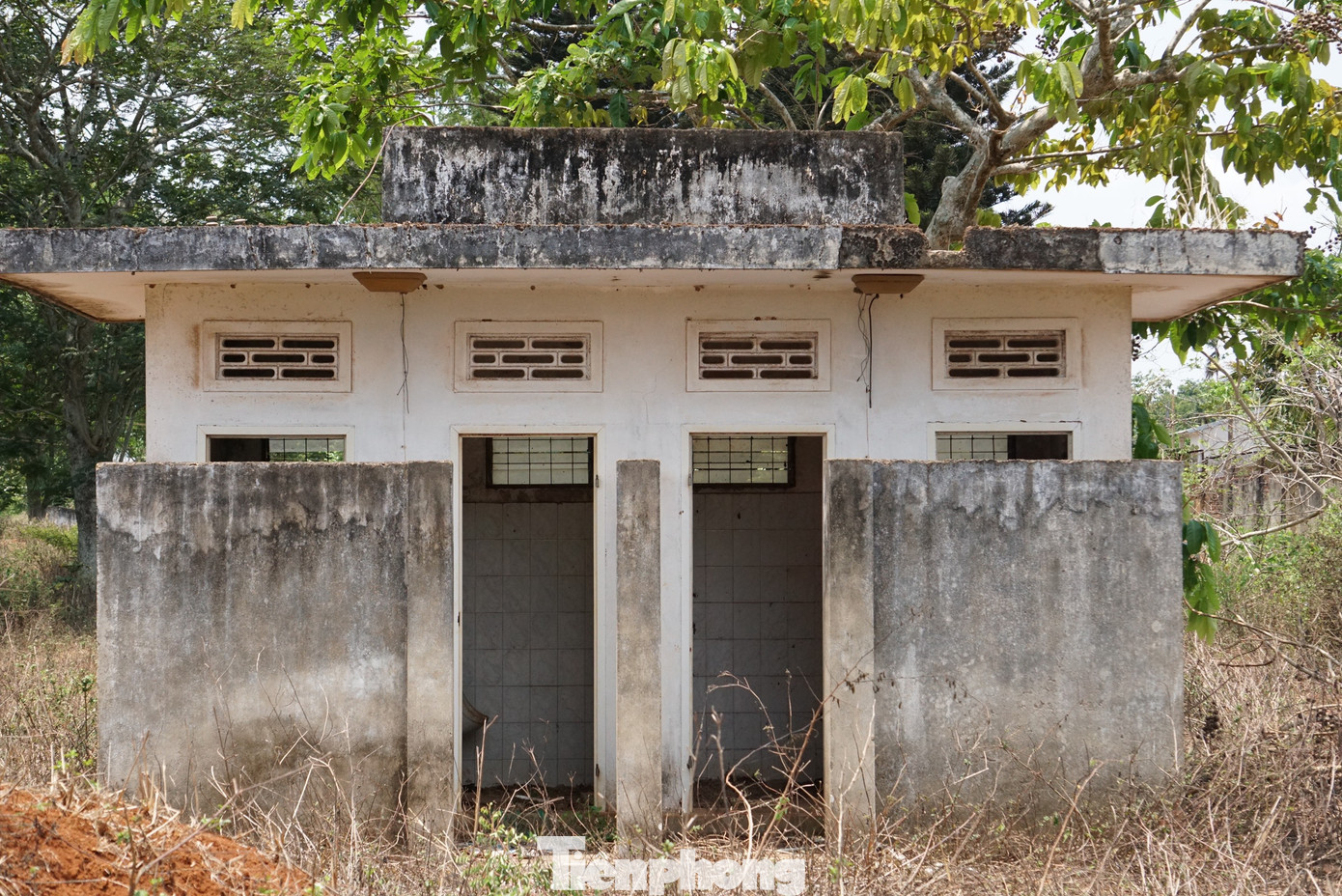 Công viên bỏ hoang gần 20 năm ở Đắk Lắk ảnh 16