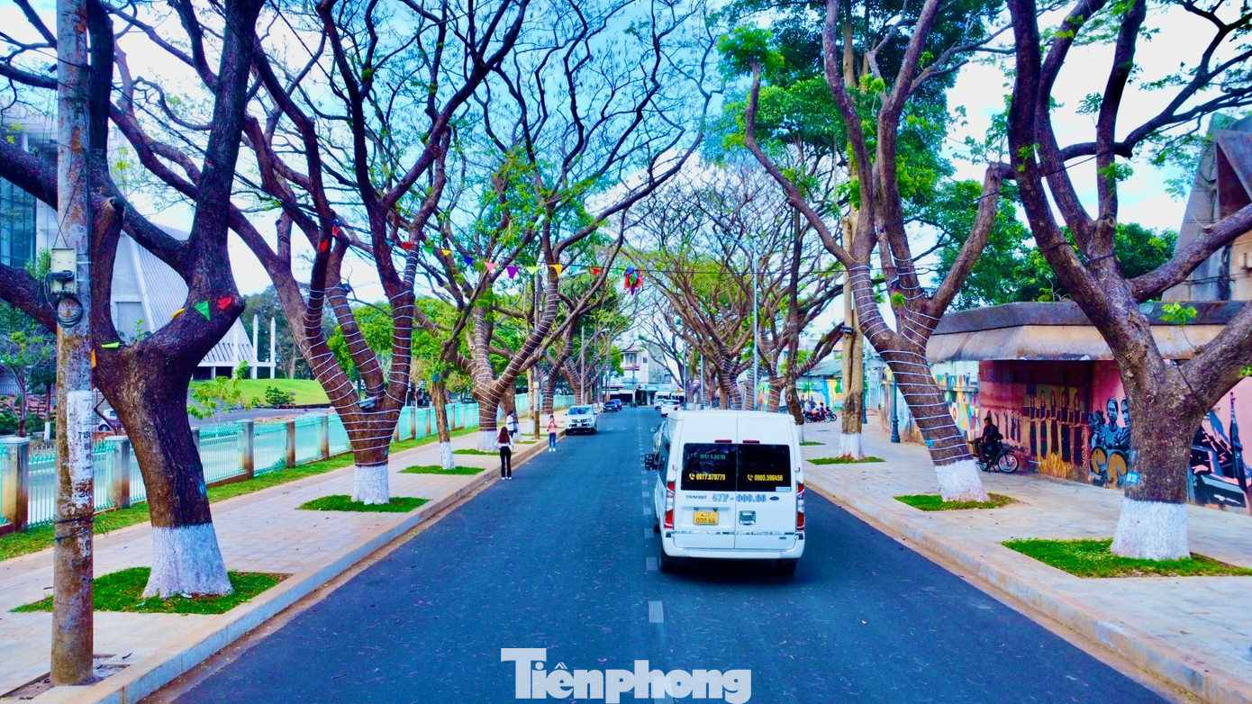 Vào ban đêm, tuyến đường Phan Đình Giót được thắp sáng lung linh với hệ thống dàn đèn led được quấn vào mỗi gốc cây. Vào ban đêm, tuyến đường Phan Đình Giót được thắp sáng lung linh với hệ thống dàn đèn led được quấn vào mỗi gốc cây.