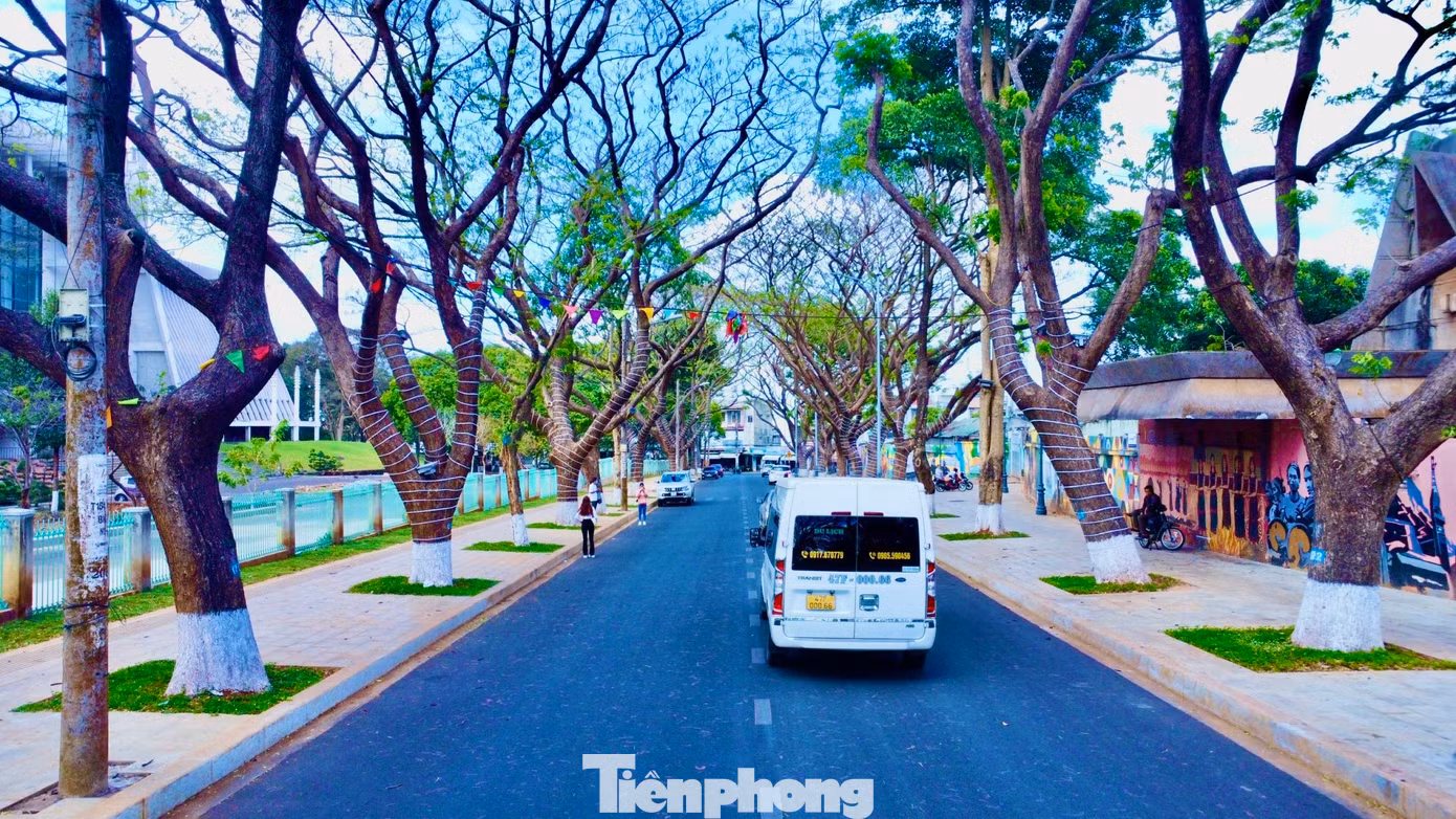 Vào ban đêm, tuyến đường Phan Đình Giót được thắp sáng lung linh với hệ thống dàn đèn led được quấn vào mỗi gốc cây.