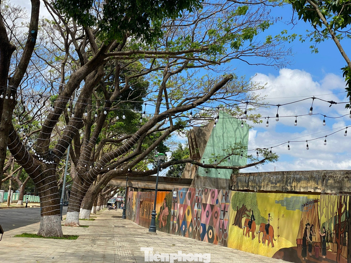 Phó chủ tịch UBND TP. Buôn Ma Thuột Trần Đức Nhật cho biết đường Phan Đình Giót được lựa chọn là phố thưởng thức cà phê miễn phí dịp lễ hội tới đây. Tuyến phố phục vụ trong 5 ngày, từ ngày 10-14/3. Tại đây, người dân không chỉ thưởng thức cà phê mà còn được trải nghiệm các hoạt động văn hóa, văn nghệ liên quan đến cà phê. Phó chủ tịch UBND TP. Buôn Ma Thuột Trần Đức Nhật cho biết đường Phan Đình Giót được lựa chọn là phố thưởng thức cà phê miễn phí dịp lễ hội tới đây. Tuyến phố phục vụ trong 5 ngày, từ ngày 10-14/3. Tại đây, người dân không chỉ thưởng thức cà phê mà còn được trải nghiệm các hoạt động văn hóa, văn nghệ liên quan đến cà phê.