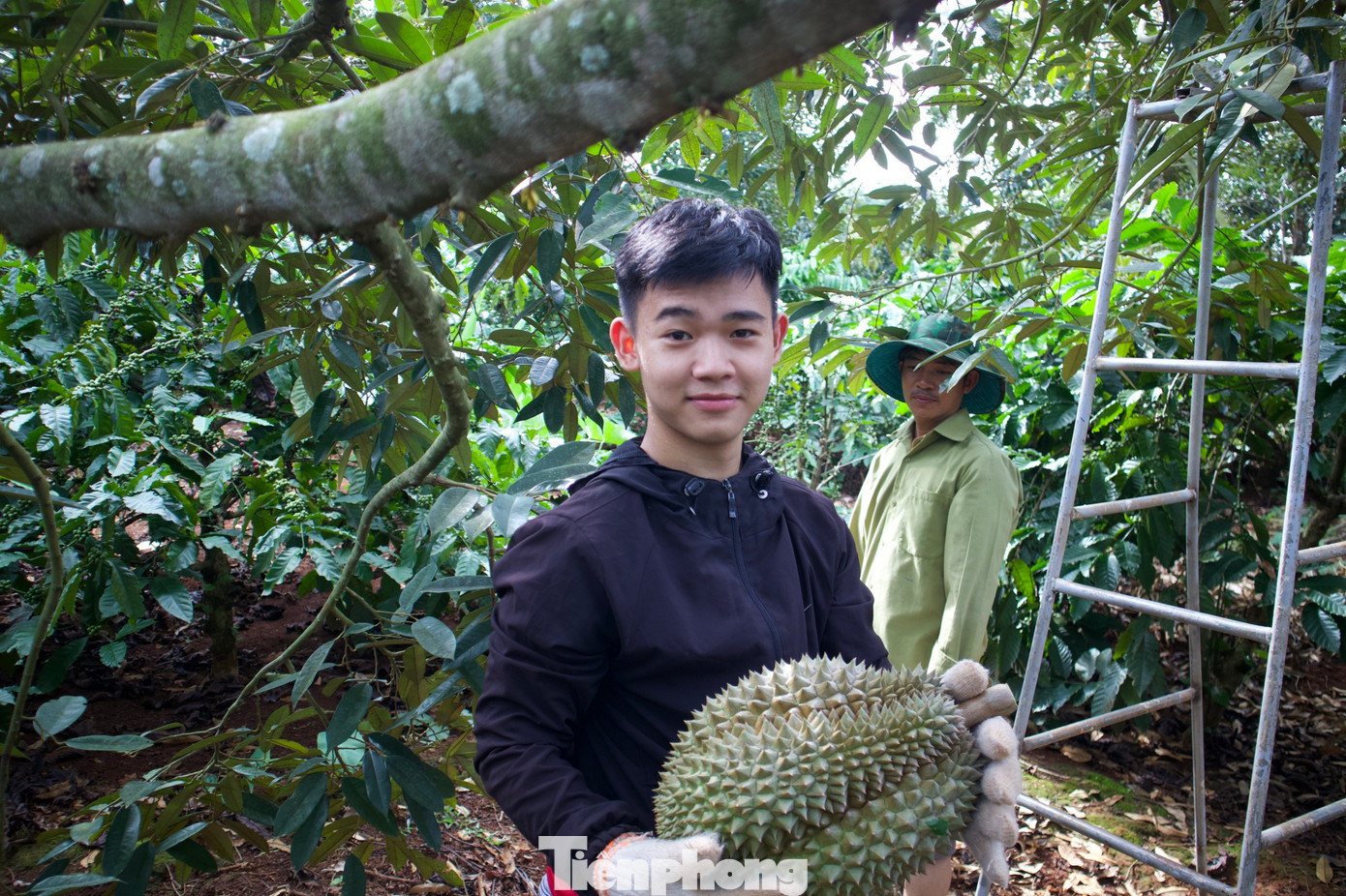 Thở phào nhẹ nhõm, vui mừng khi đỡ thành công trái sầu riêng