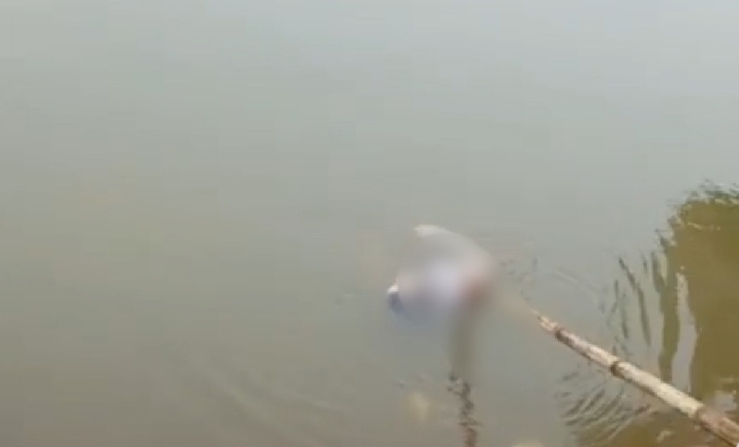 Nạn nhân đang được lực lượng chức năng trục vớt