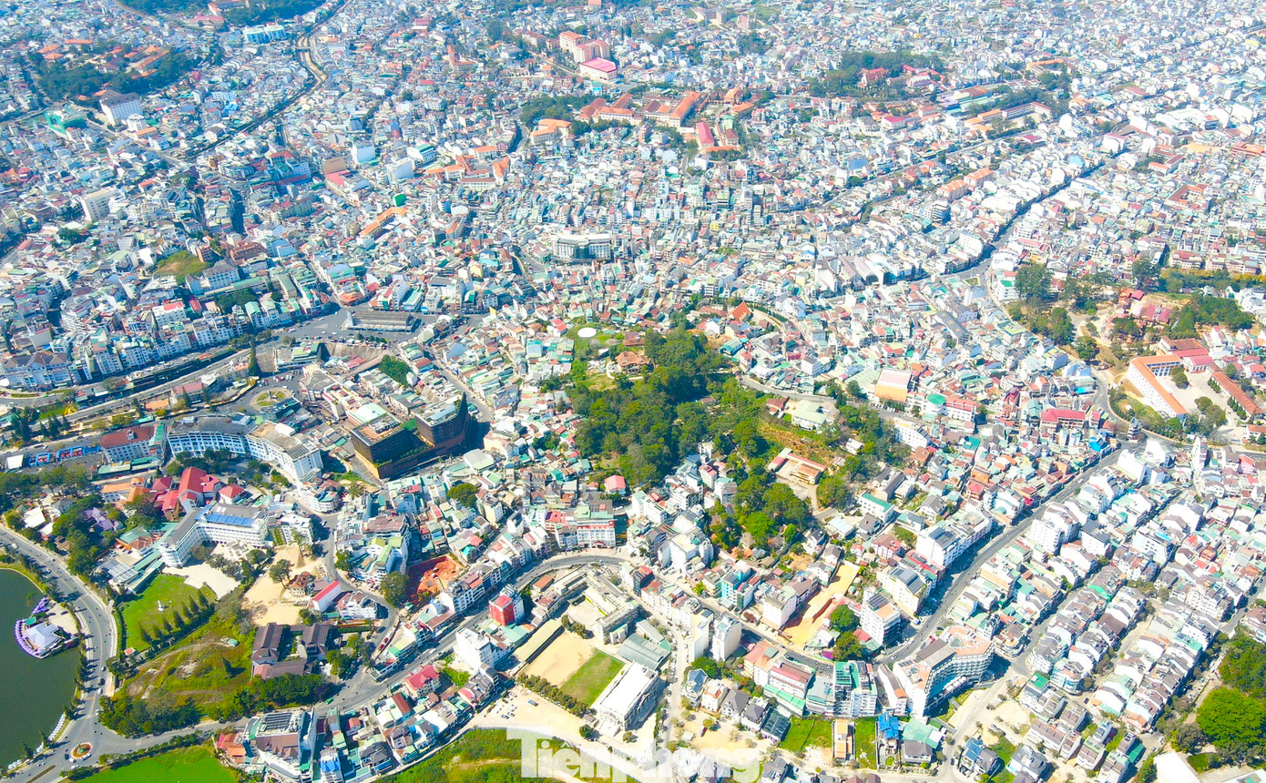 Khu vực đồi Dinh tỉnh trưởng là một mảng xanh hiếm hoi còn sót lại của “thành phố trong rừng”