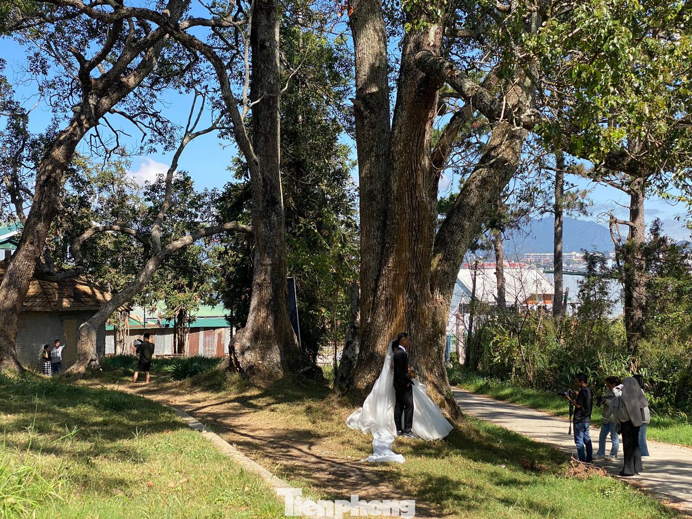 Hằng ngày, nhiều người dân TP Đà Lạt, du khách đến Dinh tỉnh trưởng để tham quan, chụp ảnh.