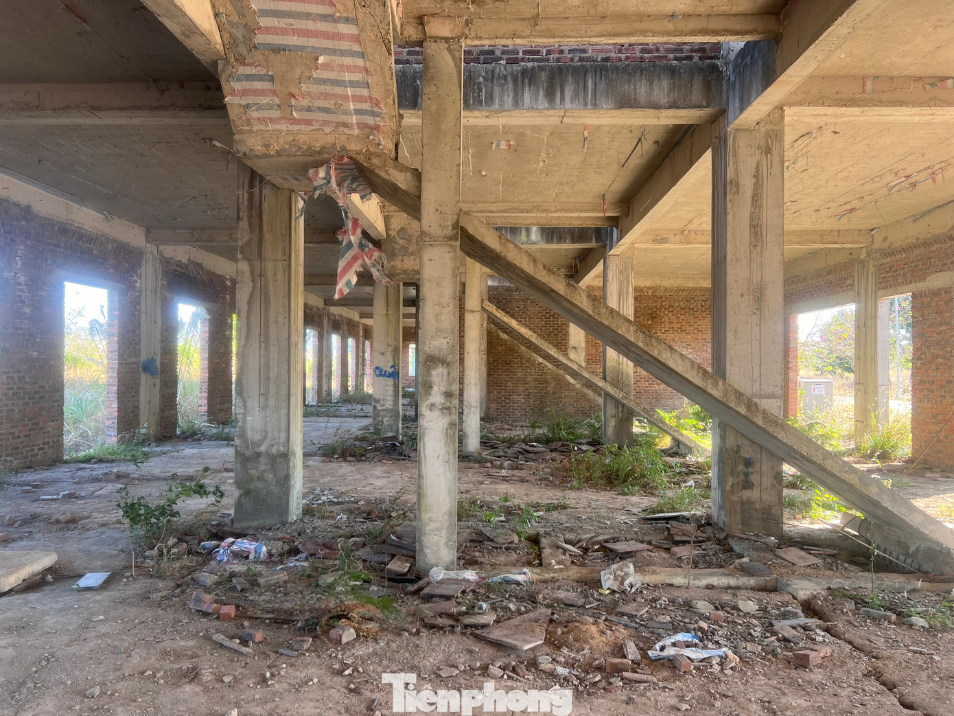 Bên trong một căn Shophouse đầy cỏ dại.