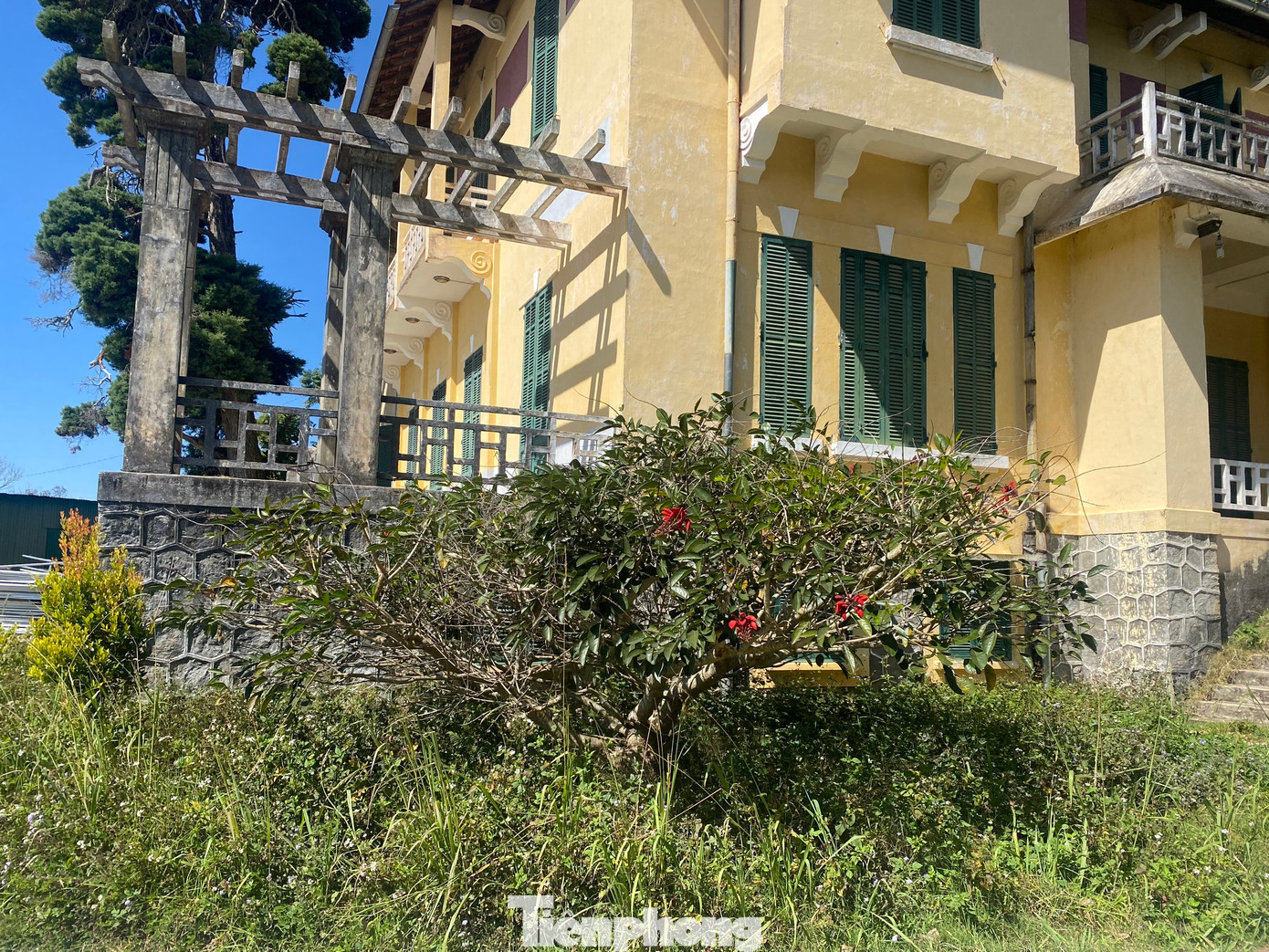 Cỏ dại mọc trên cầu thang, quanh khu vực Dinh tỉnh trưởng