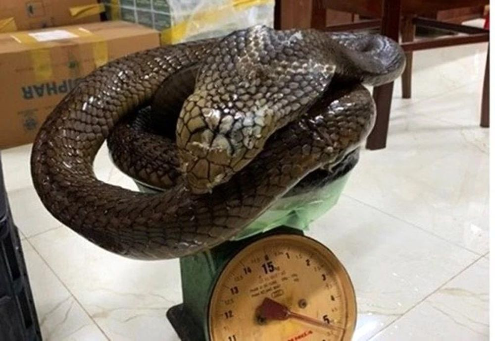 Tang vật vụ án Tang vật vụ án