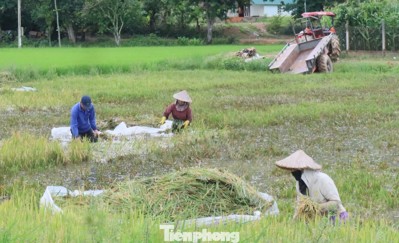 UBND huyện Lắk (Đắk Lắk) đã chỉ đạo cho UBND các xã, thị trấn khẩn trương, chủ động triển khai các biện pháp khắc phục hậu quả do mưa, lũ gây ra. Đề nghị các địa phương tiếp tục theo dõi mực nước, báo cáo tình hình ngập lụt trên địa bàn phụ trách cho UBND huyện. Đối với những vùng ngập lụt có ảnh hưởng đến khu dân cư và đời sống của người dân, chính quyền địa phương cần có những phương án sơ tán để hạn chế tối đa thiệt hại.