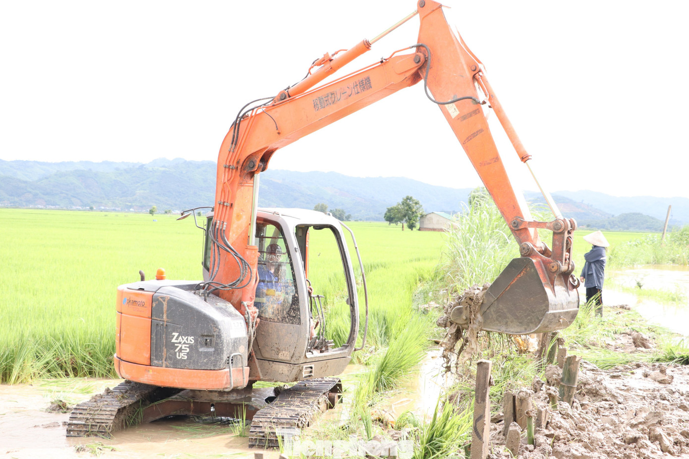 Ông Nguyễn Bá Hạnh (trú xã Buôn Triết) cho biết, sáng 29/7, sau khi đê bị vỡ, chính quyền địa phương đã có mặt huy động lực lượng cùng người dân khắc phục tạm tuyến đê. “Từ sáng 29/7 đến nay, chúng tôi phải gia cố thêm, bồi đắp các chỗ trũng thấp. Nhà tôi có 4ha lúa ngay điểm đê bị vỡ, nếu không túc trực, gia cố, vựa lúa có thể bị mất trắng”, ông Hạnh cho biết thêm.