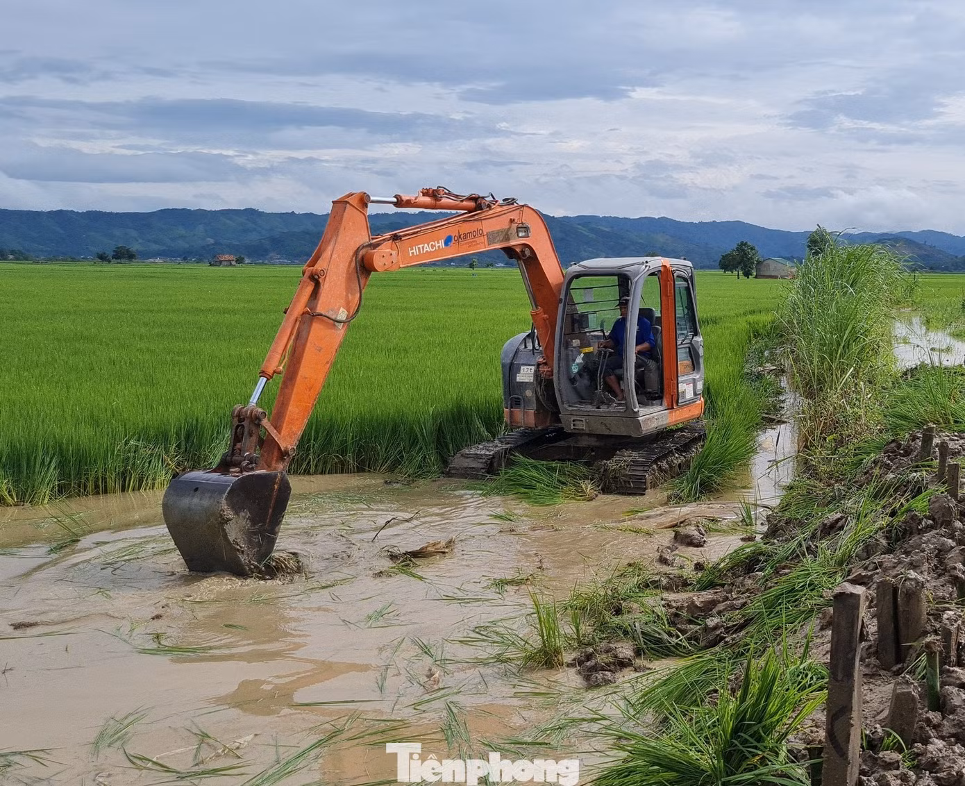 Theo UBND huyện Lắk, mưa lớn đã gây ngập hơn 750 ha lúa trên địa bàn. Trong đó xã Buôn Triết bị nặng nhất với trên 320 ha, xã Đắk Liêng 268 ha, xã Buôn Tría 106 ha. Người dân phải múc đất ở ruộng lúa để đắp chắn những đoạn đê thấp.