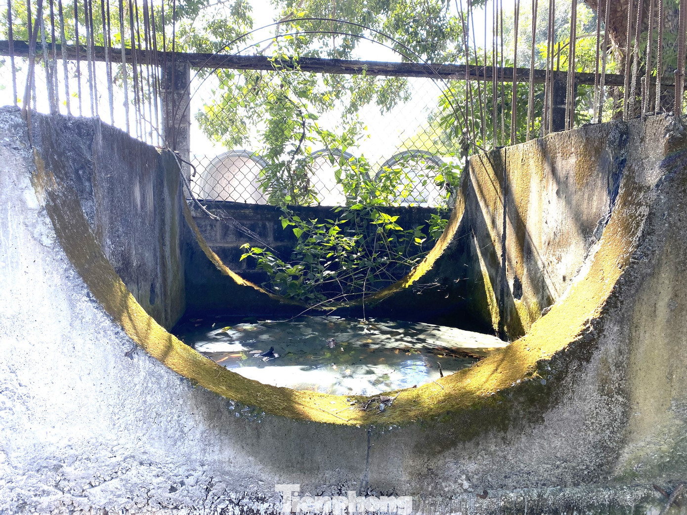 Ống cống tập kết lâu ngày trên vỉa hè, mọc rêu, nước đen kịt. Tuy nhiên, ông Nguyễn Đình Chung, Chủ tịch UBND phường Khánh Xuân cho rằng, những lần làm việc với chính quyền địa phương, doanh nghiệp này khẳng định chỉ đặt cống tạm thời, sau đó vận chuyển đi công trình.