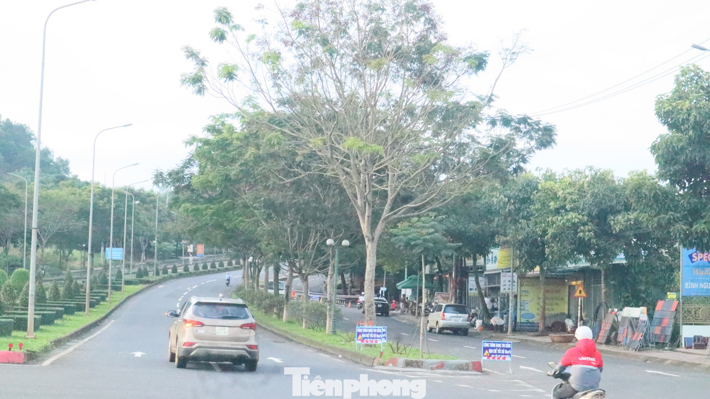 Ông Nguyễn Nhân Bản, Giám đốc Sở Giao thông vận tải tỉnh Đắk Nông cho biết, trước mắt Cty BOT vá các vết nứt bằng bê tông để không cho nước tràn vào.