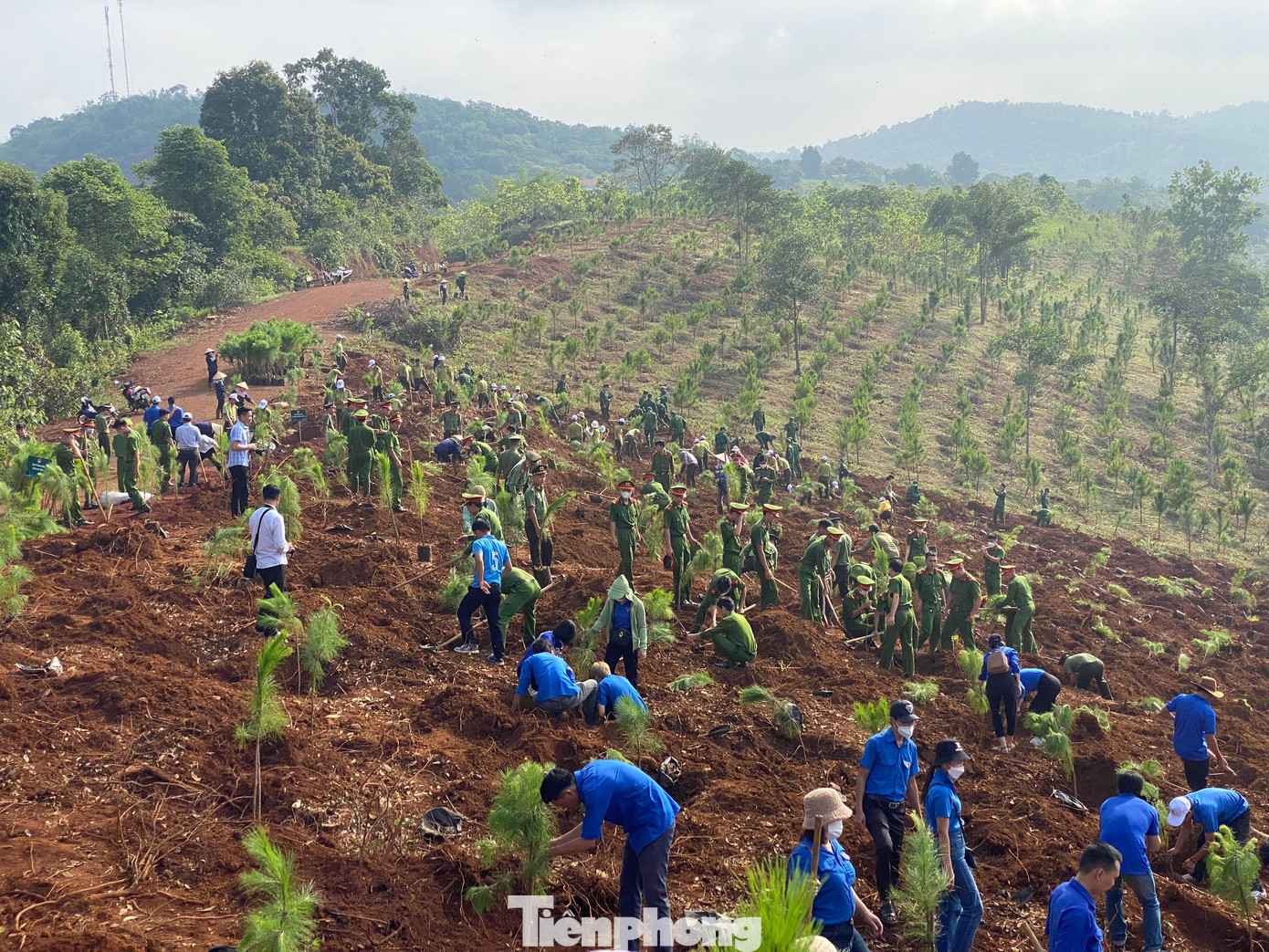 Hưởng ứng Lễ phát động “Tết trồng cây, đời đời nhớ ơn Bác Hồ” có hàng nghìn đoàn viên thanh niên các cơ sở Đoàn trên địa bàn tỉnh tham dự. Hưởng ứng Lễ phát động “Tết trồng cây, đời đời nhớ ơn Bác Hồ” có hàng nghìn đoàn viên thanh niên các cơ sở Đoàn trên địa bàn tỉnh tham dự.