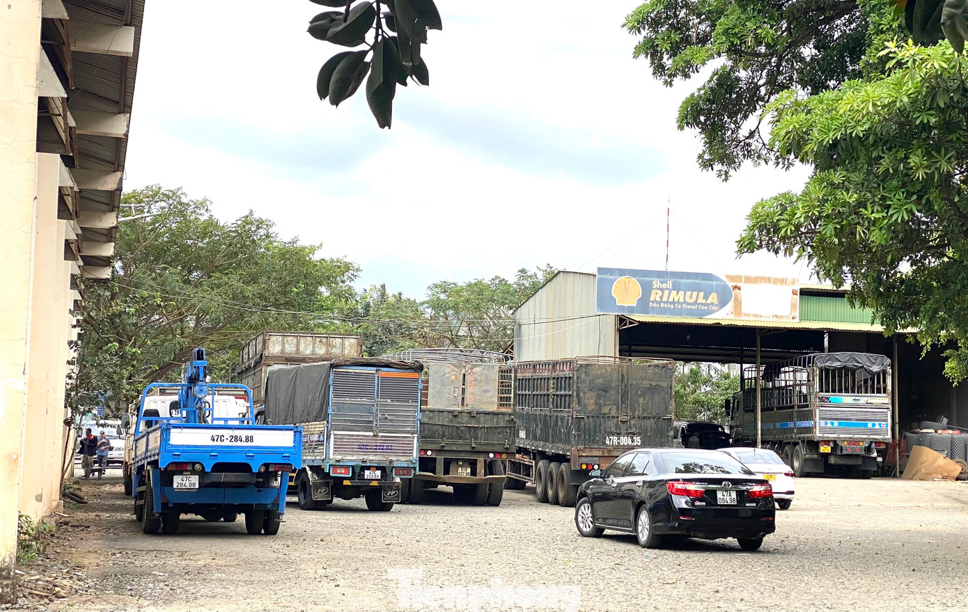 Xe xếp hàng dài chờ đến lượt đăng kiểm. Ông Lê Văn Tiến, nhân viên bảo vệ Trung tâm Đăng kiểm xe cơ giới 47-01D cho hay, mấy ngày qua rất nhiều người dân đưa xe đến đây đăng kiểm.