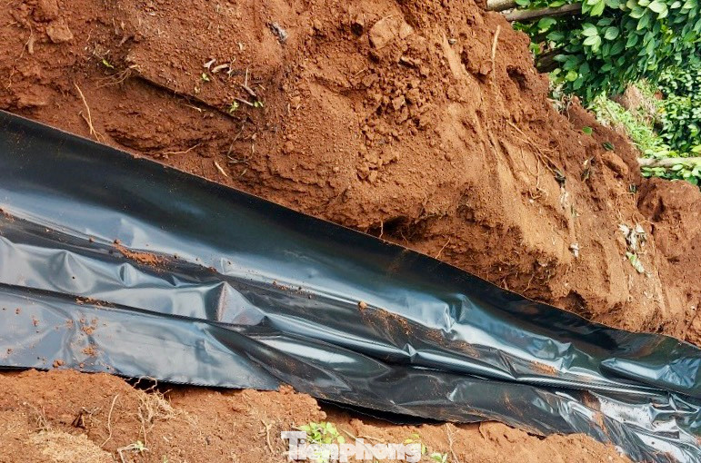 Chủ đầu tư sử dụng tấm HDPE để ngăn nước không cho ngấm xuống phía dưới. Chủ đầu tư sử dụng tấm HDPE để ngăn nước không cho ngấm xuống phía dưới.
