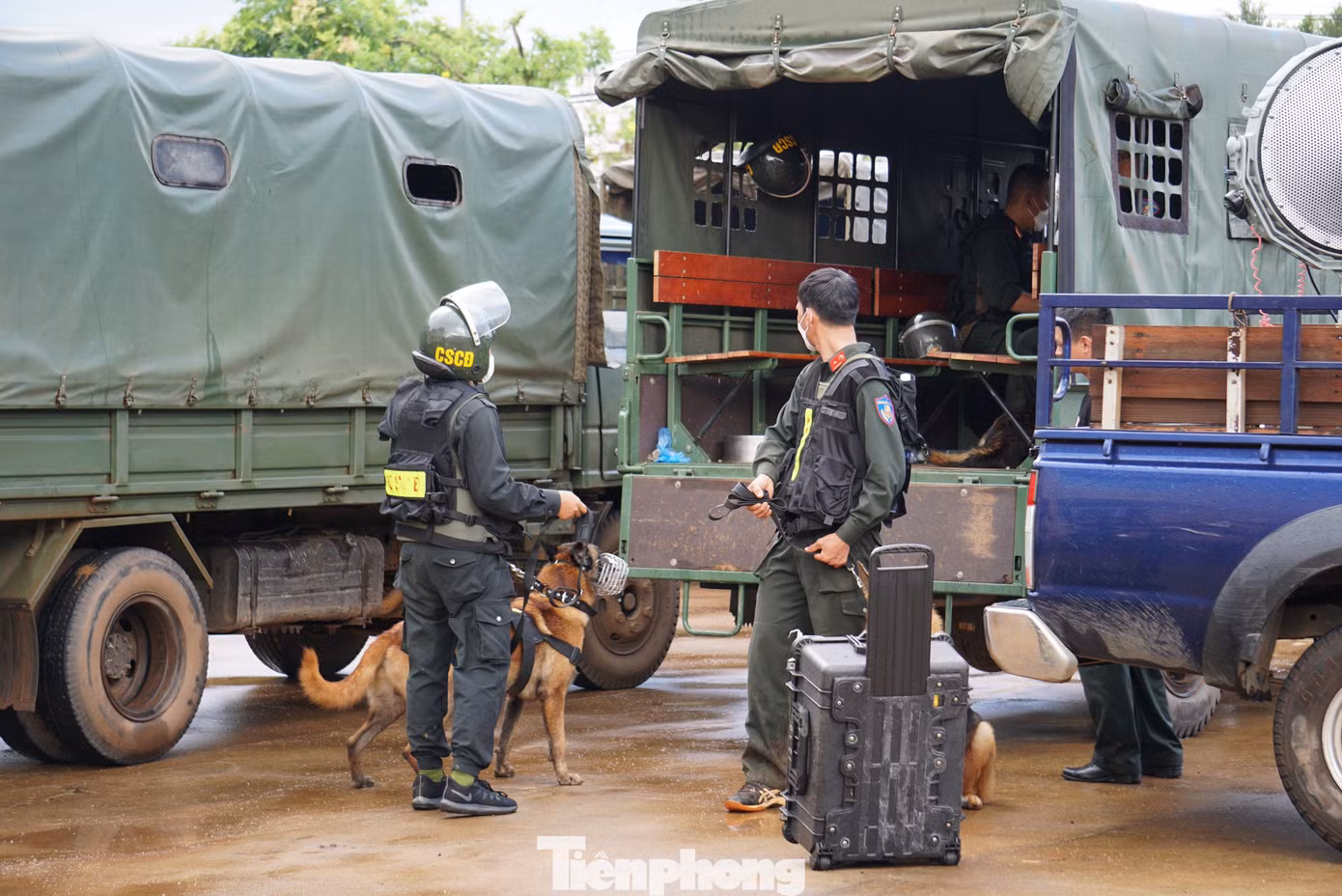 Sử dụng chó nghiệp vụ truy bắt nhóm đối tượng Sử dụng chó nghiệp vụ truy bắt nhóm đối tượng
