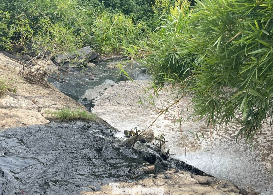Nước suối đen ngòm do trang trại lợn xả nước thải ra ngoài Nước suối đen ngòm do trang trại lợn xả nước thải ra ngoài