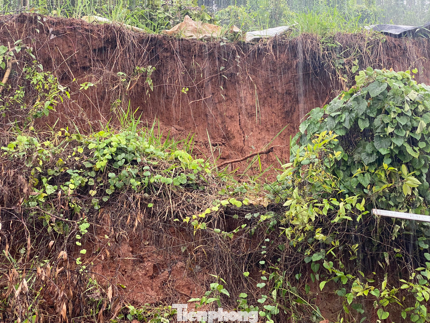 Theo UBND TP Gia Nghĩa, sau khi tiếp nhận thông tin, đơn vị tiếp tục chỉ đạo phường Nghĩa Thành tiếp tục theo dõi tình hình trên địa bàn; yêu cầu lực lượng công an túc trực phân luồng xe tham gia giao thông. Theo UBND TP Gia Nghĩa, sau khi tiếp nhận thông tin, đơn vị tiếp tục chỉ đạo phường Nghĩa Thành tiếp tục theo dõi tình hình trên địa bàn; yêu cầu lực lượng công an túc trực phân luồng xe tham gia giao thông.