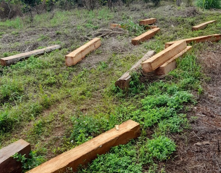 Nhóm đối tượng vứt gỗ lậu xuống bãi đất trống để tẩu thoát