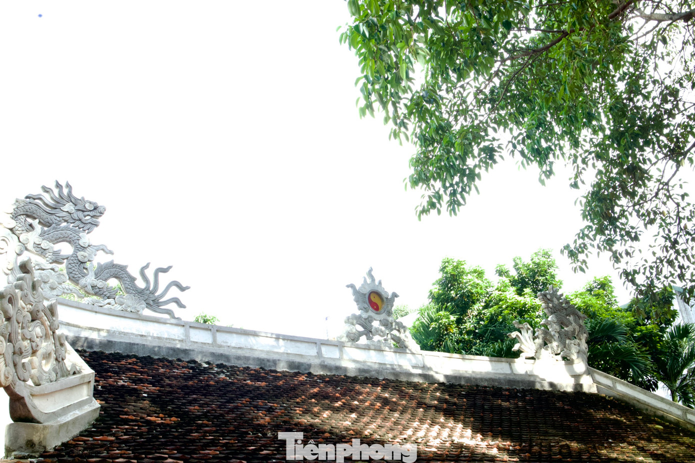 Mái ngói ở đình Lạc Giao phủ đầy rêu.