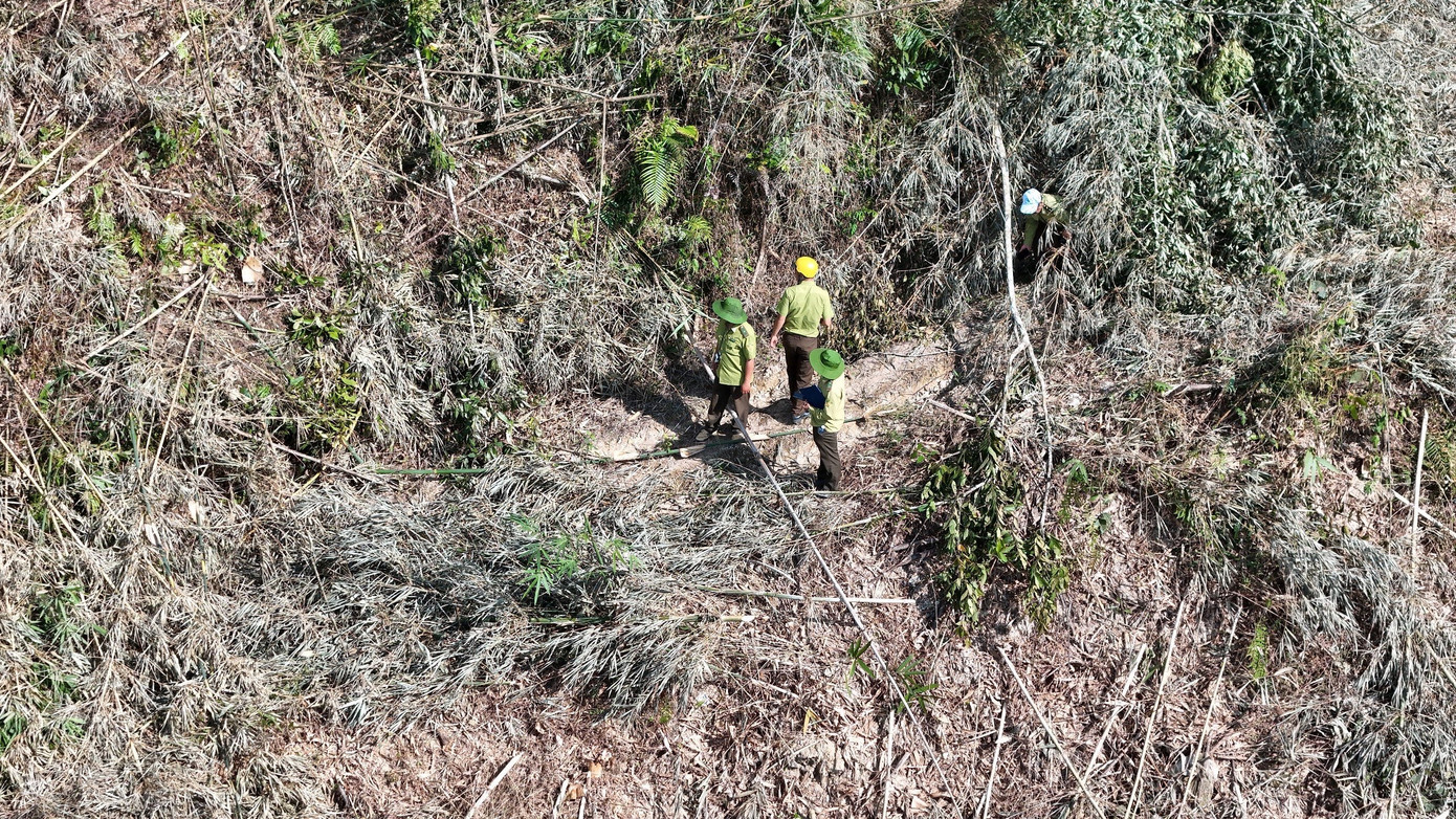 Lực lượng chức năng có mặt tại hiện trường vụ phá rừng Lực lượng chức năng có mặt tại hiện trường vụ phá rừng