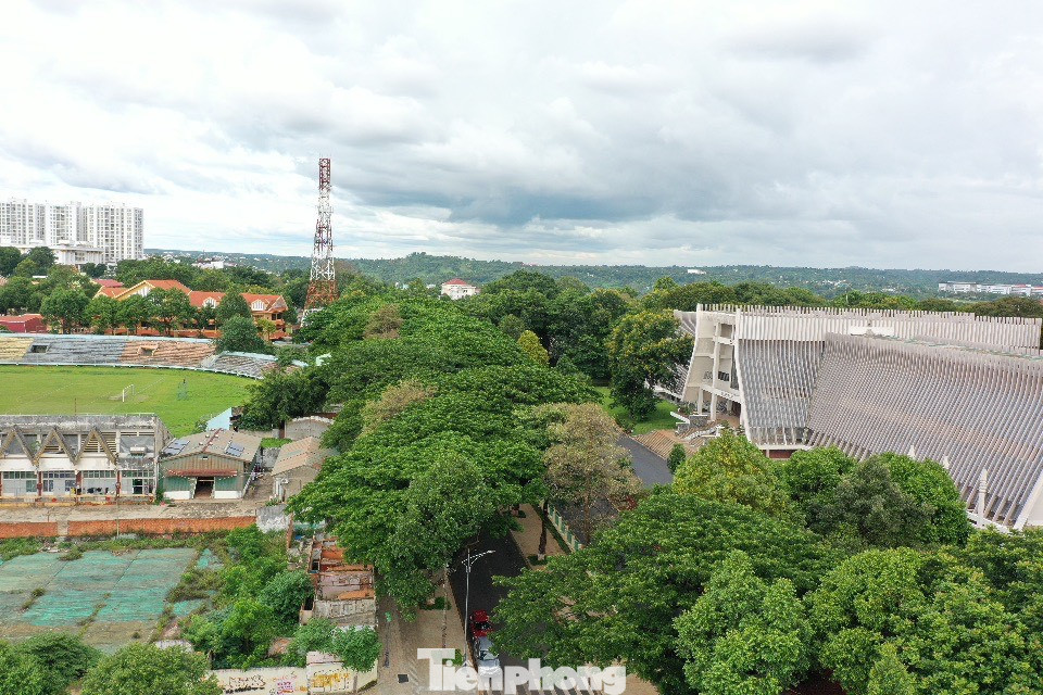 Ông Bùi Văn Quý - Tổng Giám đốc Cty CP Đô thị và Môi trường Đắk Lắk, cho biết, đã chỉ đạo làm rõ nguyên nhân. Theo ông Quý, cây hoa sữa trụi lá, héo cành do dịch bệnh, hoàn toàn không có dấu hiệu bị đầu độc. “Chắc không có việc gì đâu, vài hôm nữa các cây hoa sữa này lại ra lá mới thôi” - ông Quý nói.