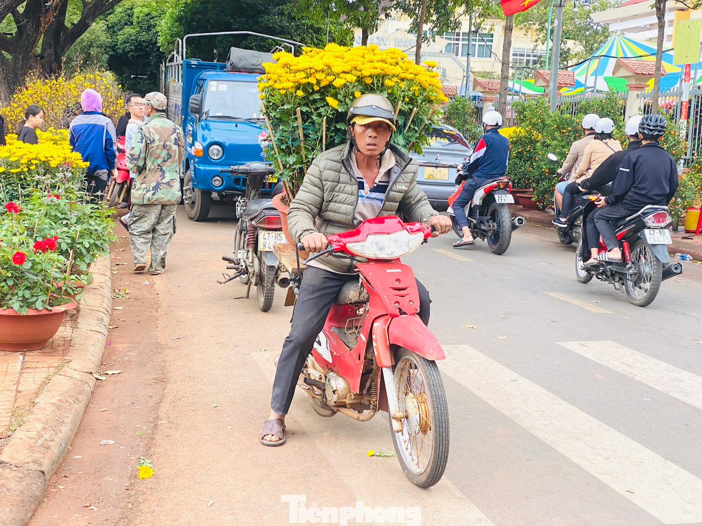 Thêm vào đó, những ngày gần đây thời tiết ở Đắk Lắk gió thổi mạnh khiến những người xe ôm vận chuyển cây cảnh khó khăn hơn trong việc di chuyển.