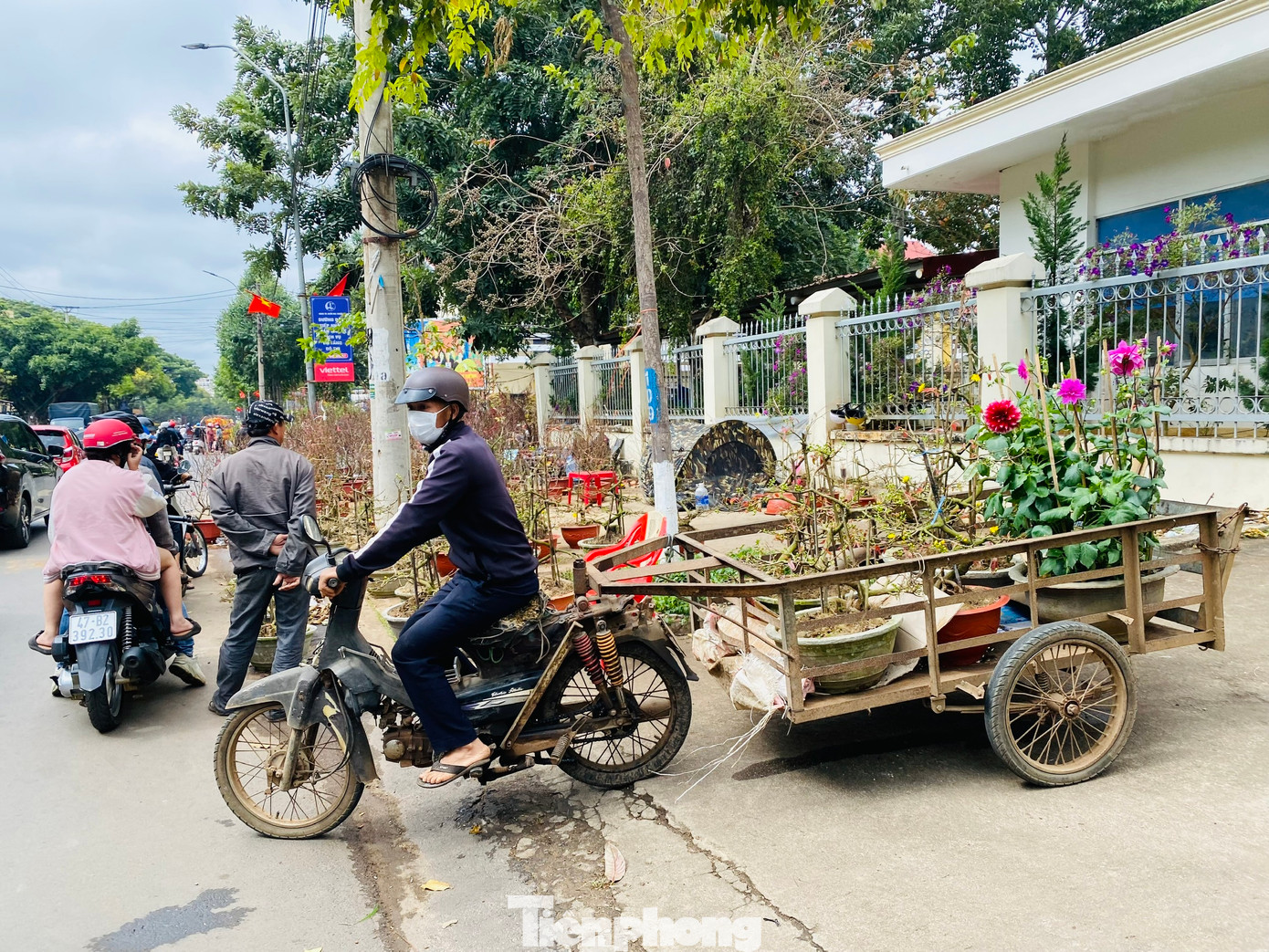 "Trước khi làm nghề này, tôi đang chạy xe ôm thu nhập mỗi ngày khoảng 100 -200 ngàn đồng, có ngày không có khách. Từ ngày 15 tháng chạp đến nay, tôi chuyển sang làm nghề vận chuyển hoa, cây cảnh Tết cho nhà vườn, khách mua. Nhờ đó, tôi kiếm được gần 1 triệu đồng mỗi ngày. Tuy nhiên, nghề này không thể hấp tấp và nôn nóng được, một phút chủ quan là bao nhiêu công sức bỏ ra coi như bằng không. Vận chuyển không cẩn thận rất dễ va đập dẫn đến gãy cành, gãy nụ, gặp chủ vườn nào quen họ còn thông cảm, còn không phải đền”, anh Nguyễn Thế Mạnh (phường Tân Lợi, TP.Buôn Ma Thuột) chia sẻ.