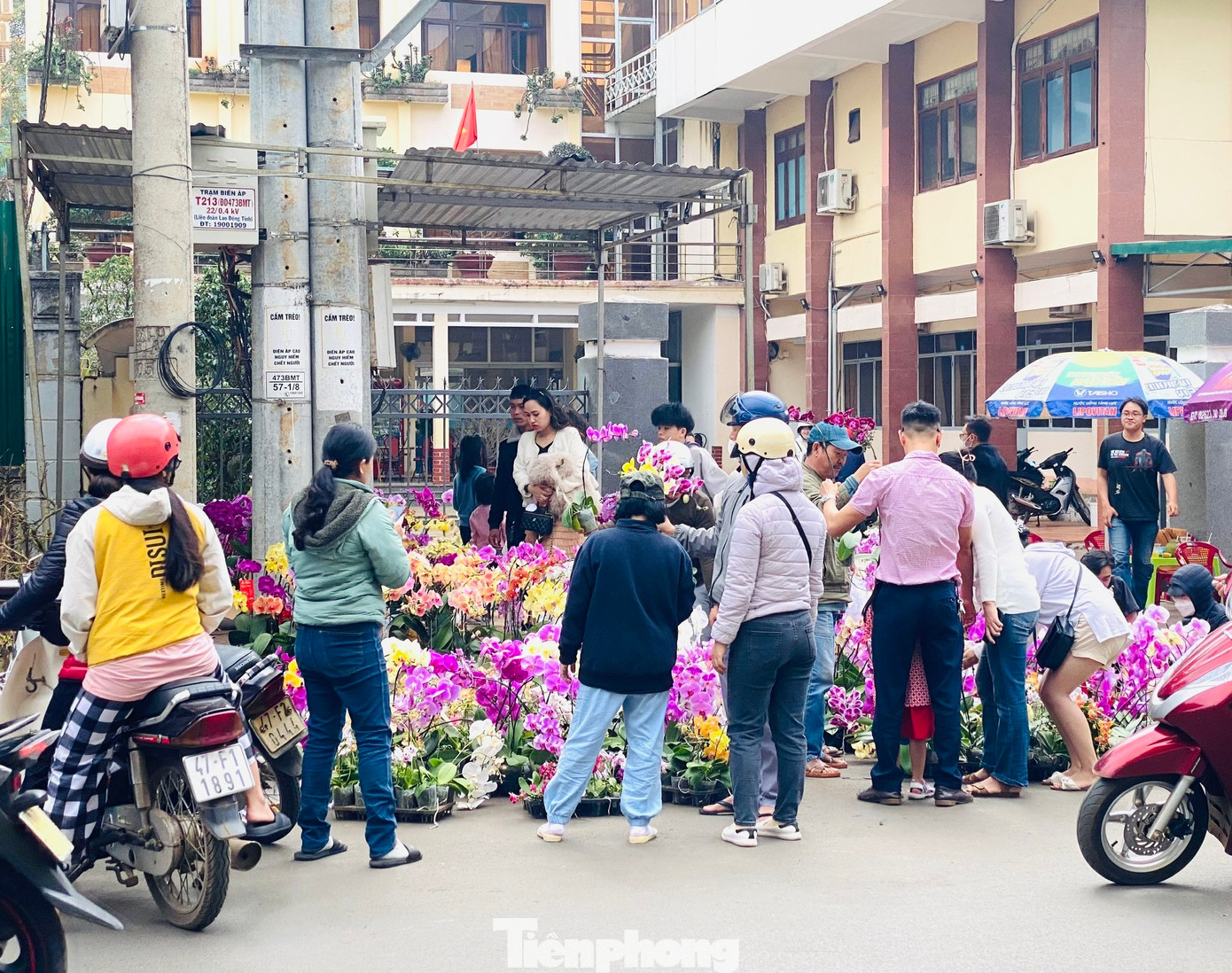Rất đông người dân tập trung mua hoa lan sau khi hạ giá bán