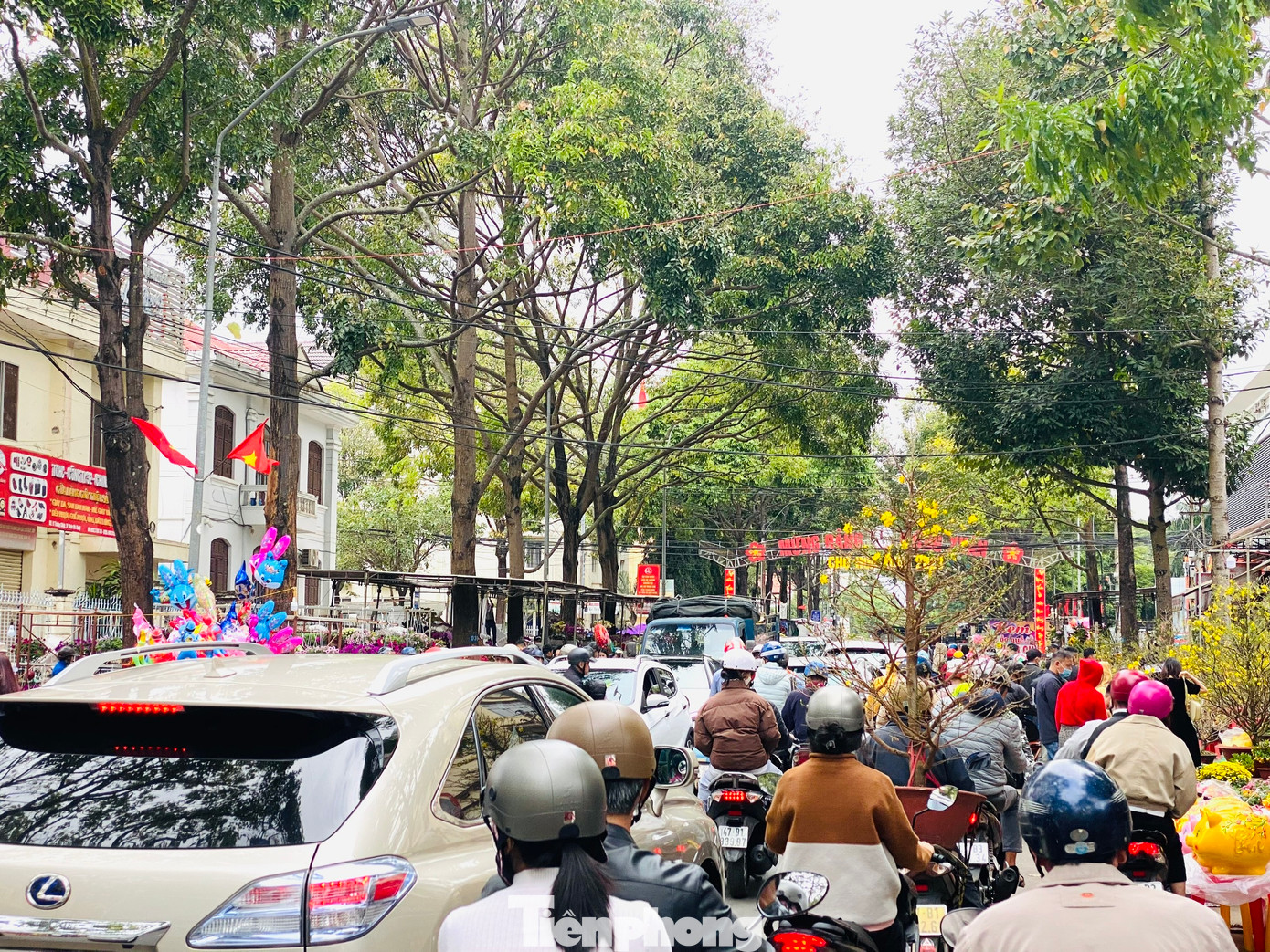 Ngày 30 Tết, dọc theo các tuyến đường Trường Chinh, Nguyễn Đình Chiểu, Lý Nam Đế, Trần Hưng Đạo và khu vực Quảng trường 10-3 (TP.Buôn Ma Thuột, Đắk Lắk)... hàng trăm lượt người đến để chọn cho mình những cây hoa ưng ý về chưng Tết.